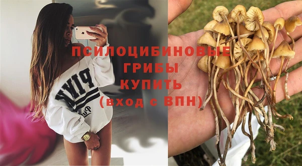 mdpv Абинск