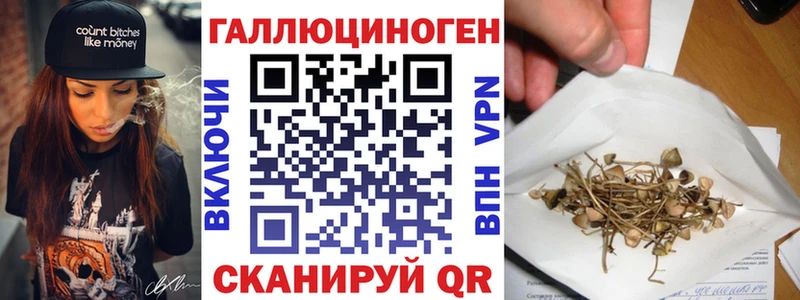 Псилоцибиновые грибы Magic Shrooms  наркошоп  Анапа 